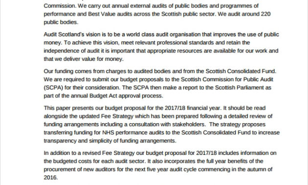 10 Audit Proposal Examples Pdf Examples Inside Internal Business Proposal Template
