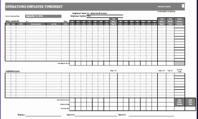 10 Cash Flow Log Excel Templates Excel Templates Inside Business Valuation Report Template Worksheet
