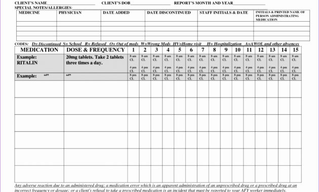 10 Ms Excel Patient Medication Log Template Excel Inside Printable Home Health Care Daily Log Template