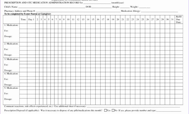10 Ms Excel Patient Medication Log Template Excel Within Medication Inventory Log Template