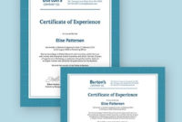 11 Job Experience Certificate Templates Pdf Word Ai Inside Printable Certificate Of Experience Template
