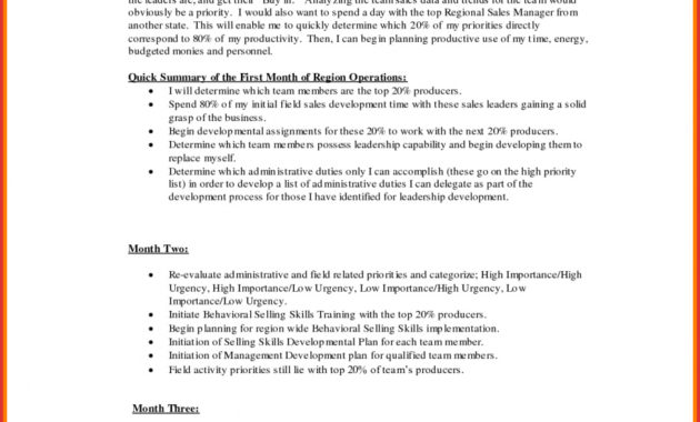 12 30 60 90 Day Plan Sales Manager Example Radaircars Throughout Business Plan For Sales Manager Template