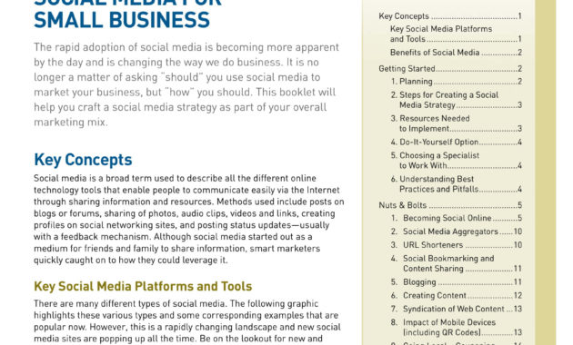 12 Social Media Business Plan Examples Pdf Word Examples Pertaining To Quality Social Media Marketing Proposal Template