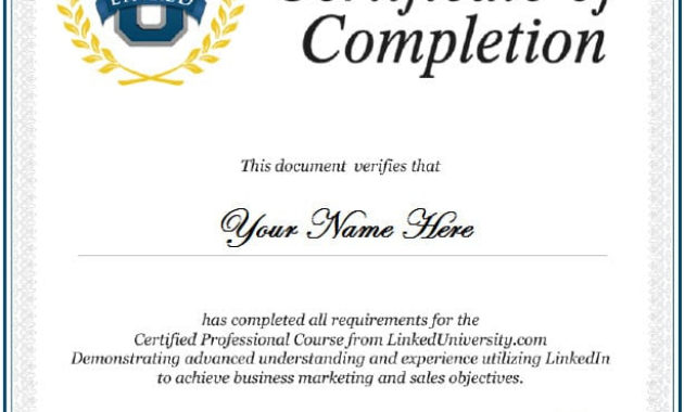 13 Certificate Of Completion Templates Excel Pdf Formats Regarding Certificate Of Completion Word Template