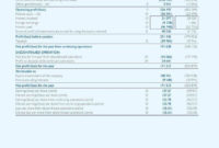 13 Different Types Of Financial Reports Free Premium Intended For Financial Statement For Small Business Template