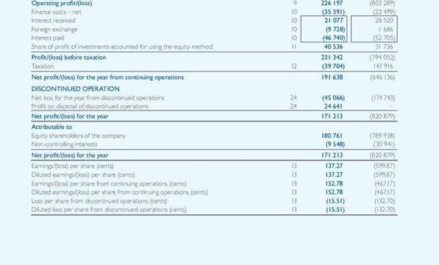 13 Different Types Of Financial Reports Free Premium Intended For Financial Statement For Small Business Template