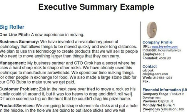 13 Executive Summary Templates Excel Pdf Formats With Executive Summary Template For Business Plan