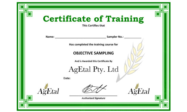1415 Certificate Samples In Word Southbeachcafesf In Training Course Certificate Templates