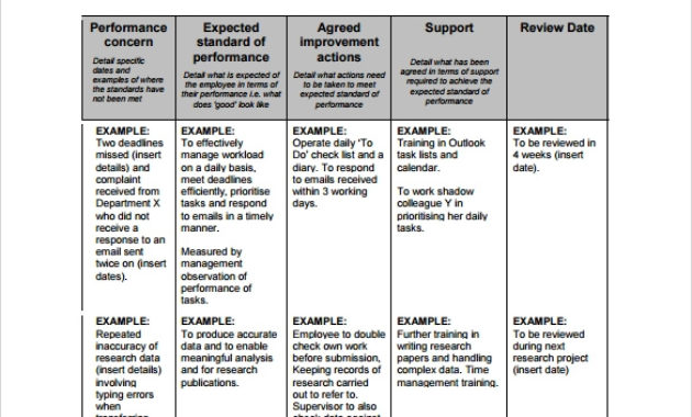 15 Sample Performance Improvement Plan Templates Sample For Business Process Evaluation Template