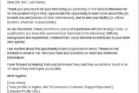 15 Thank You Letters After Interview Sample Templates With Regard To Free Thank You Email Template After Meeting