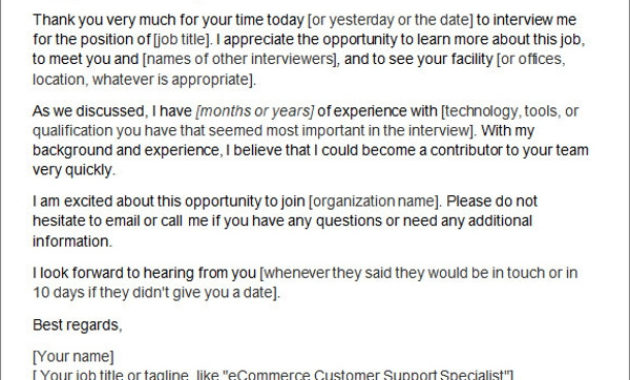 15 Thank You Letters After Interview Sample Templates With Regard To Free Thank You Email Template After Meeting