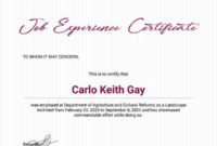 17 Experience Certificate Templates Pdf Doc Free Throughout Certificate Of Employment Templates Free 9 Designs