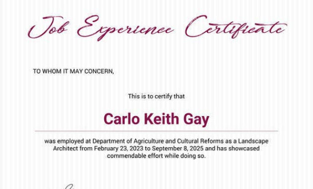 17 Experience Certificate Templates Pdf Doc Free Throughout Certificate Of Employment Templates Free 9 Designs