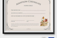 19 Sample Adoption Certificates Sample Templates Pertaining To Child Adoption Certificate Template Editable