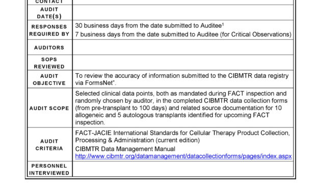 20 Internal Audit Report Templates Word Pdf Apple Pages For Business Process Audit Template