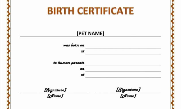 20 This Certificate Entitles The Bearer ™ Dannybarrantes For Amazing This Certificate Entitles The Bearer To Template