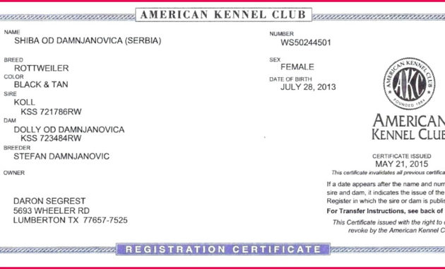3 Blank Birth Certificate Templates 42891 Fabtemplatez Within Official Birth Certificate Template