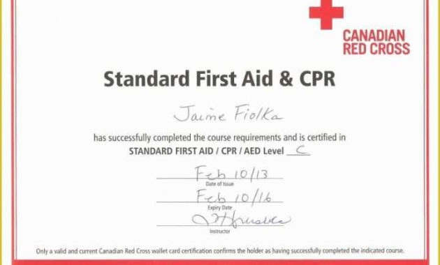 35 First Aid Certificate Template Free With Regard To First Aid Certificate Template Free