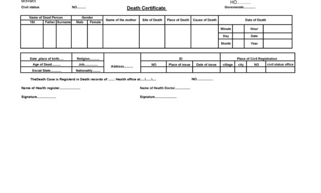37 Blank Death Certificate Templates 100 Free ᐅ Templatelab Within Blank Death Certificate Template 7 Documents