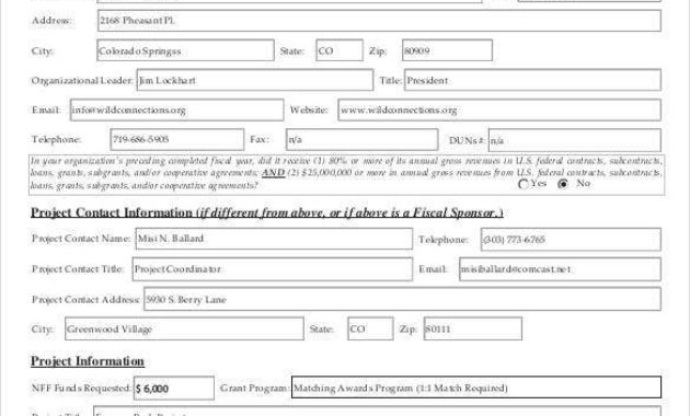 38 Grant Proposal Templates Doc Pdf Pages Free For Grant Proposal Budget Template