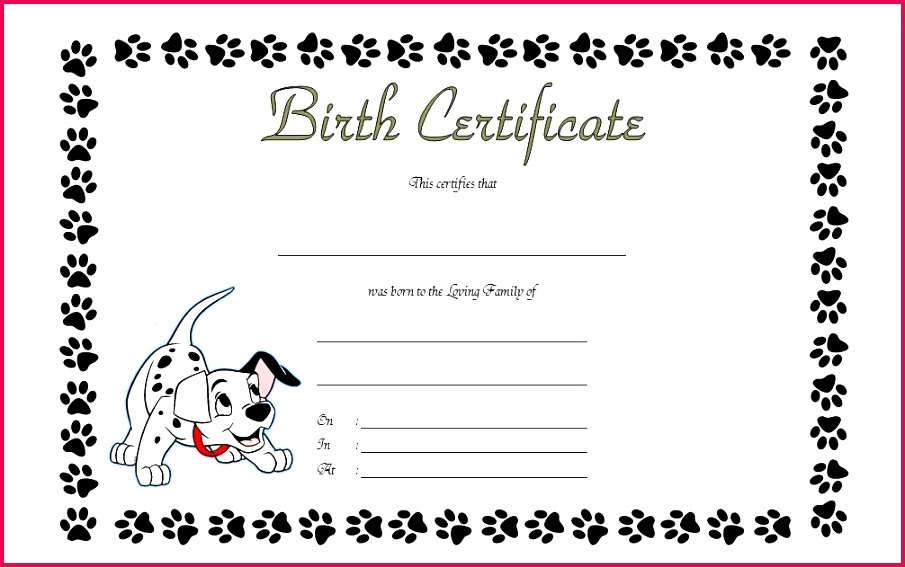 4 Blank Build A Bear Birth Certificate Template 95672 Within Build A Bear Birth Certificate Template