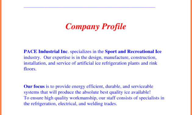4 Sample Company Profile For A New Company Company Within Free Business Profile Template Word