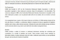 40 Non Profit Business Plan Desalas Template Within Non Profit Business Plan Template Free Download