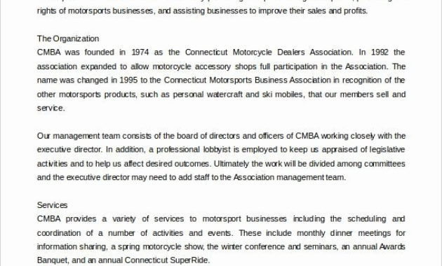 40 Non Profit Business Plan Desalas Template Within Non Profit Business Plan Template Free Download