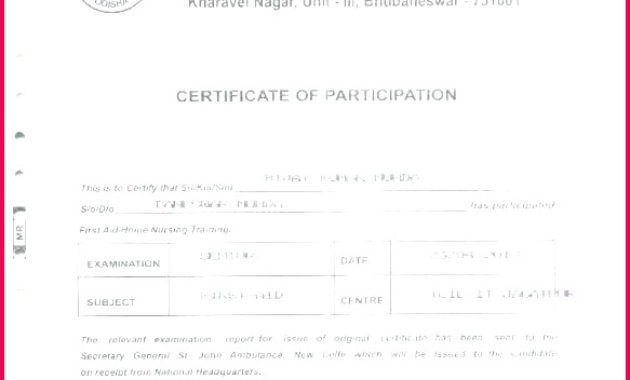 5 Fit Test Certificate Template 60347 Fabtemplatez In Printable Veterinary Health Certificate Template
