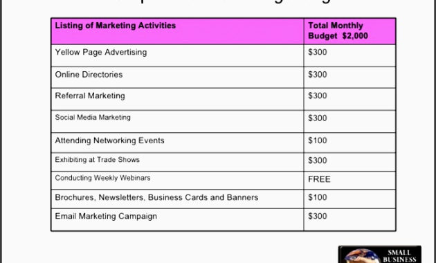 5 New Business Marketing Budget Plan Sampletemplatess Regarding How To Develop A Business Plan Template