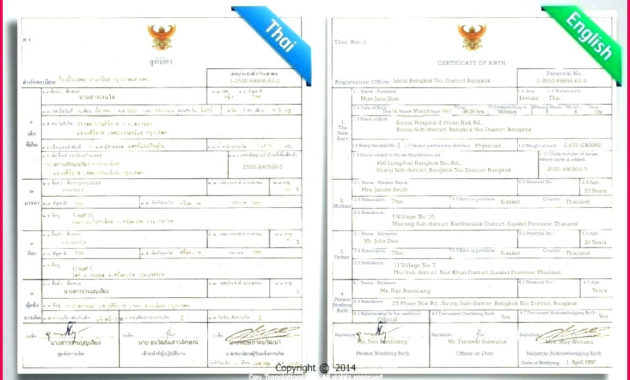 5 Notarized Translation Of Birth Certificate Sample 16715 Regarding Free Mexican Birth Certificate Translation Template