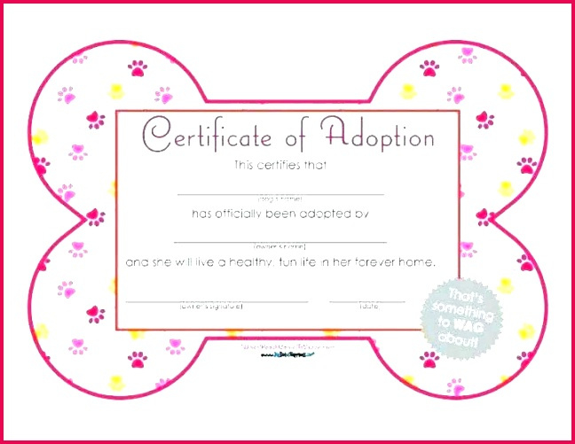 6 Certificate Of Pet Adoption Template 34651 Fabtemplatez Intended For Awesome Rabbit Adoption Certificate Template 6 Ideas Free