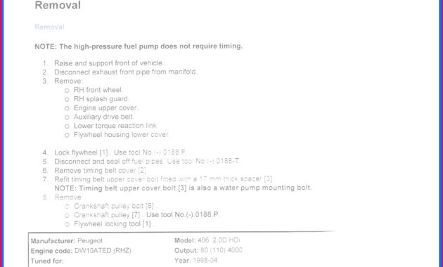 7 Birth Certificate Translation Free Template 83399 With Regard To Amazing Birth Certificate Translation Template Uscis