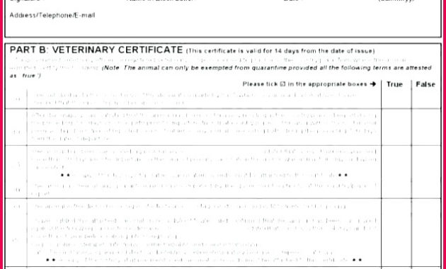 7 Pdf Rabies Vaccination Certificate Template 25664 Within Quality Rabies Vaccine Certificate Template