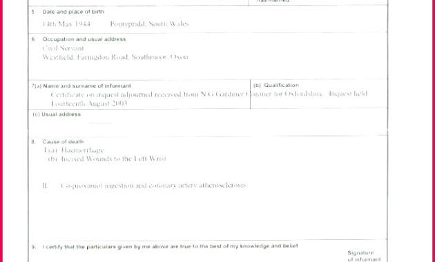 7 Rabies Vaccine Certificate Template 15657 Fabtemplatez Intended For Printable Veterinary Health Certificate Template