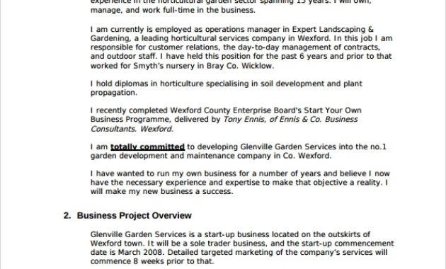 7 Sample Professional Business Plan Templates Sample Pertaining To Business Plan Template For Service Company