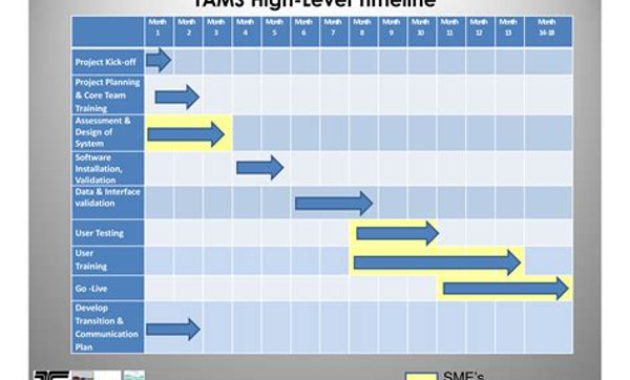 9 Highlevel Project Plan Examples Pdf Examples For High Level Business Plan Template