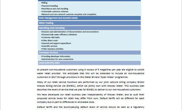 9 Retail Business Plan Templates Docs Pdf Word Free With Boutique Business Plan Template