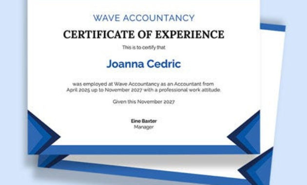 Accountant Job Experience Certificate Template Word In Template Of Experience Certificate