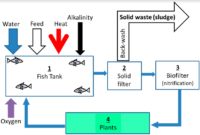 Aquaponics Cycle Diagram Aquaponic Inside Aquaponics Business Plan Templates
