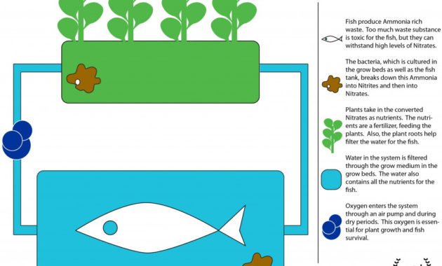 Aquaponics Teslas For Sustainable Society For Aquaponics Business Plan Templates