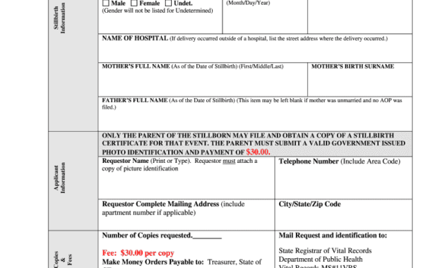 Baby Death Certificate Template Popular Professional Intended For Quality Death Certificate Translation Template