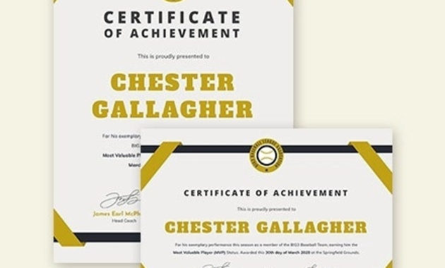 Baseball Certificate Template 8 Pdf Word Ai Indesign Intended For Amazing Baseball Achievement Certificates