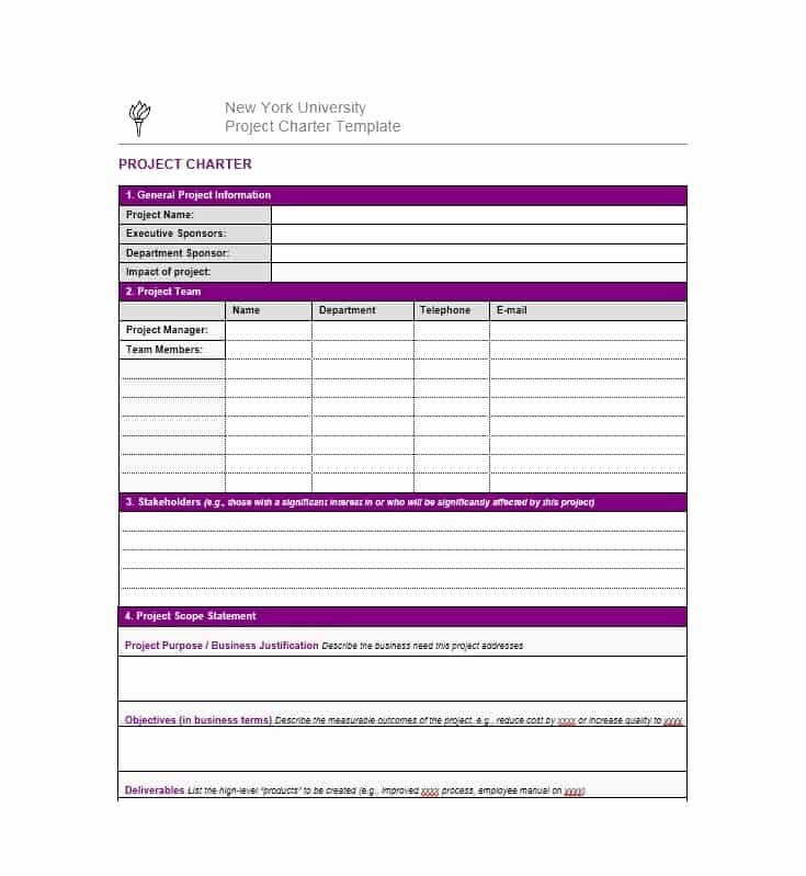 Beautiful Project Charter Template Example Audiopinions In Business Charter Template Sample