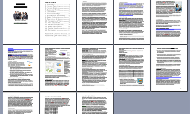 Best Business Plan Template Throughout Business Paln Template
