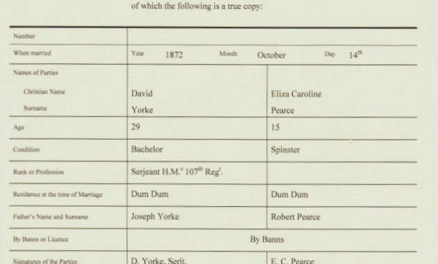 Birth Marriage And Death Certificates In Family History Inside Amazing Baby Death Certificate Template