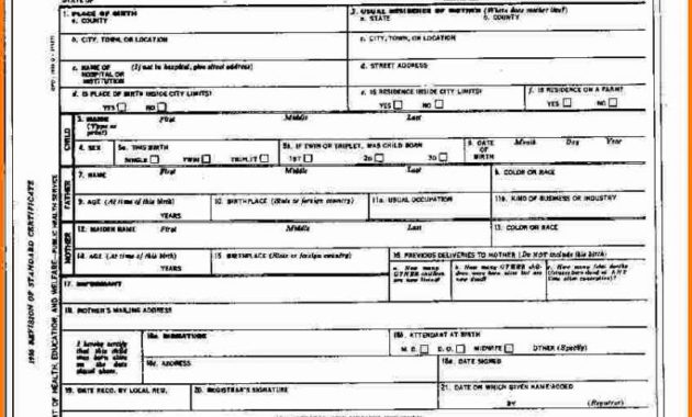 Blank Birth Certificate Template Business Pertaining To Official Birth Certificate Template