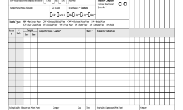 Blank Chain Of Custody Form Fill Online Printable With Child Visitation Log Template