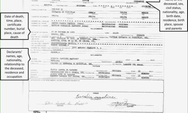 Breathtaking Best S Of Mexican Birth Certificate In In Mexican Birth Certificate Translation Template