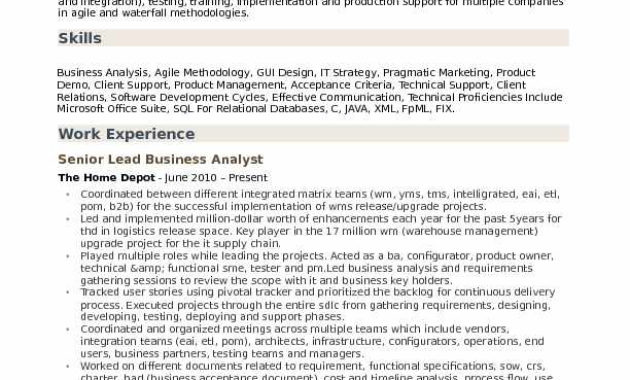 Business Analysis Paper Sample Hq Template Documents Throughout Business Analyst Documents Templates